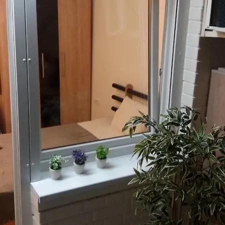 Dandelo Apartament Nowy Sad